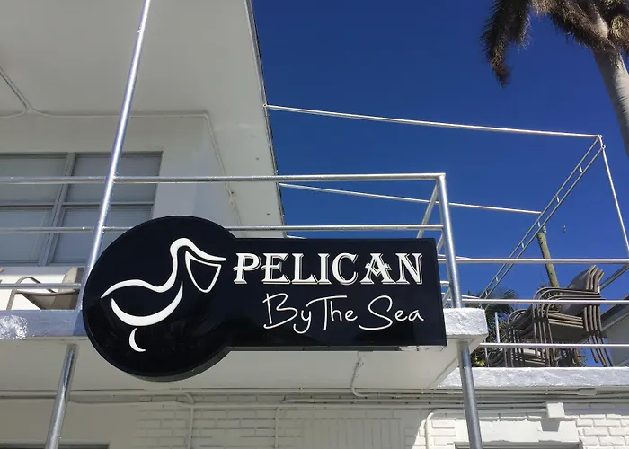 Pelican By The Sea